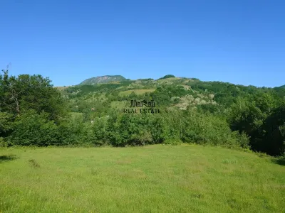 1,3 ha Teren si cladiri in Blajeni - foto 11