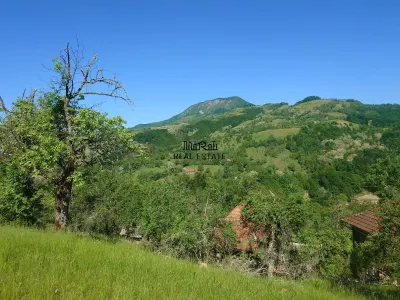 1,3 ha Teren si cladiri in Blajeni - foto 12