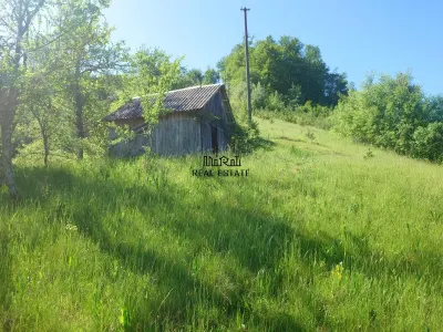 1,3 ha Teren si cladiri in Blajeni - foto 13