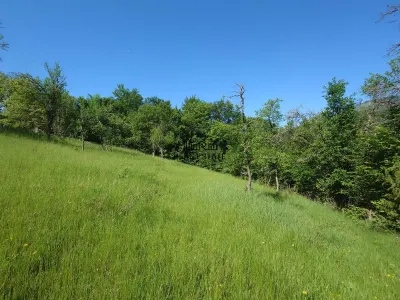 1,3 ha Teren si cladiri in Blajeni - foto 16