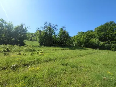 1,3 ha Teren si cladiri in Blajeni - foto 17