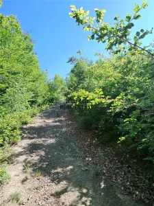 1,3 ha Teren si cladiri in Blajeni - foto 9