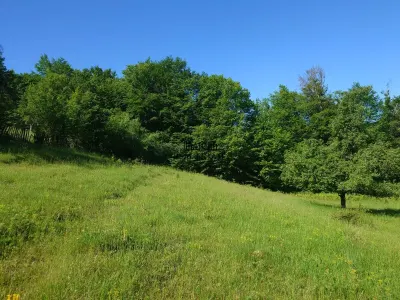 1,3 ha Teren si cladiri in Blajeni - foto 10
