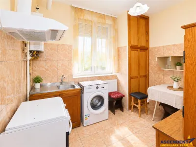 Apartament 2 camere, regim vila, zona linistita, Tractorul, Octavian Goga - foto 2