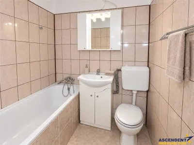 Apartament 2 camere, regim vila, zona linistita, Tractorul, Octavian Goga - foto 5