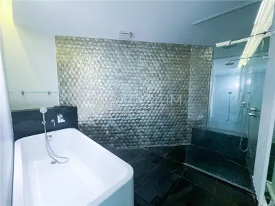 Apartament cu 4 camere de inchiriat Cortina Residence Herastrau - foto 24