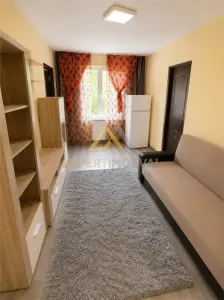 Apartament 2 camere de inchiriat etaj 2 George Enescu in apropiere de Vivo Mall si Universitatea Tehnica - foto 3