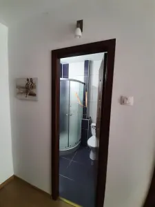 Va propunem spre inchiriere un apartament spatios ideal pt medici rezidenti sau studenti la medicina! - foto 4