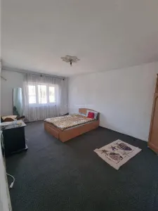 Garsoniera zona Mag Vacanta Tour  bloc 804 - Alexandria