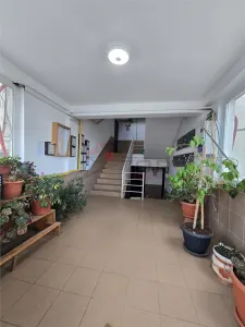 Visan - Profi, 2 camere decomandat in bloc nou, 70mp cu loc de parcare inclus - foto 5