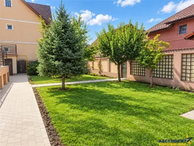 Spatiu birou in vila cu terasa si curte, Tractorul, Brasov - Brasov