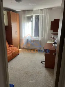 Apartament 2 camere Dumbrava Noua - foto 2