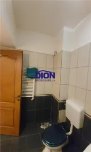 Metrou  Grigorescu -  Camil  Ressu  -  Ilioara - Centrala proprie - foto 8