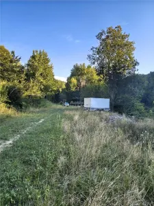 Teren intravilan de vanzare in padure Cisnadioara - foto 9