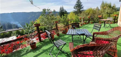 Casă de vacanță în stațiunea Durău | 500 mp utili | 700 mp teren | 10 camere | 11 băi | 750.000 Euro | Comision 0% - foto 17