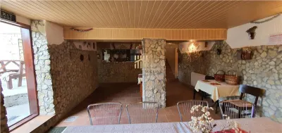 Casă de vacanță în stațiunea Durău | 500 mp utili | 700 mp teren | 10 camere | 11 băi | 750.000 Euro | Comision 0% - foto 7