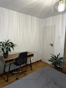 Pet friendly! Apartament 2 camere decomandate, Zorilor, strada Lunii - foto 10