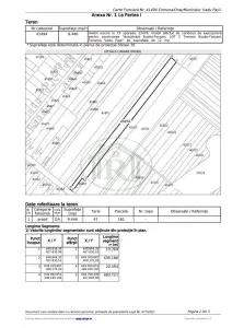 Teren Vadu Pasii 9.446mp ideal investitii ! - foto 6