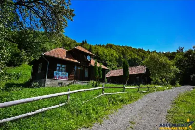 FILM! Proprietate autentica, Bran-Simon, 4.300 mp teren, casa traditionala + anexe - foto 27