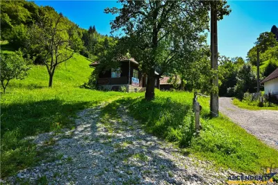 FILM! Proprietate autentica, Bran-Simon, 4.300 mp teren, casa traditionala + anexe - foto 28