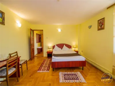 Pensiune cu restaurant, profit asigurat din chirii, terasa spre munte, Brasov - foto 20