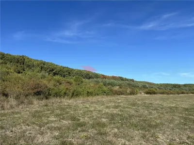 Teren 80 ari, Coldau, zona Podirei - Coldau