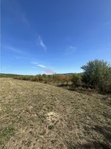 Teren 80 ari, Coldau, zona Podirei - foto 11