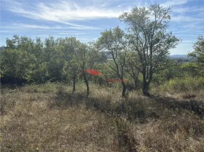 Teren 80 ari, Coldau, zona Podirei - foto 12
