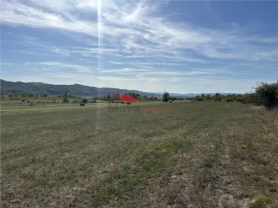 Teren 80 ari, Coldau, zona Podirei - foto 3