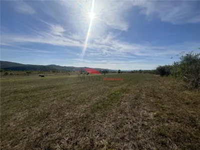 Teren 80 ari, Coldau, zona Podirei - foto 4