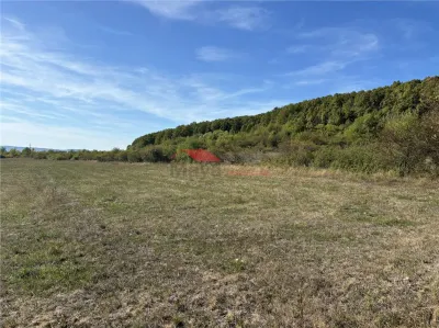 Teren 80 ari, Coldau, zona Podirei - foto 5