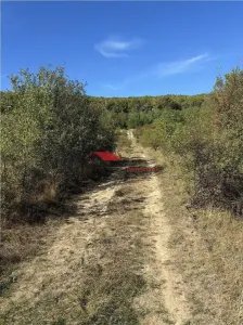 Teren 80 ari, Coldau, zona Podirei - foto 6