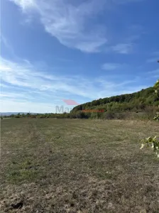 Teren 80 ari, Coldau, zona Podirei - foto 8