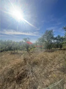 Teren 80 ari, Coldau, zona Podirei - foto 9