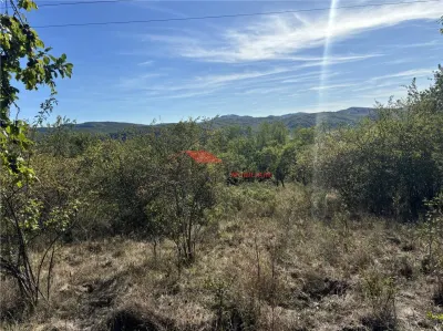 Teren 80 ari, Coldau, zona Podirei - foto 10
