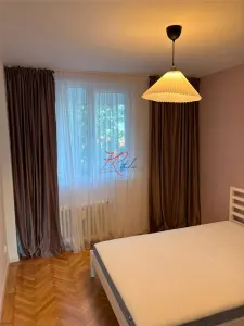 Vanzare apartament 3 camere renovate Parcul Circului - foto 5