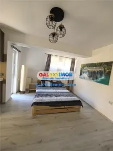 Garsoniera cocheta DRUMUL TABEREI / VALEA OLTULUI - foto 2