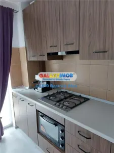 Garsoniera cocheta DRUMUL TABEREI / VALEA OLTULUI - foto 9