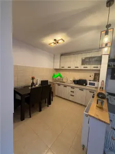 Garsoniera de vanzare balcon Sibiu Tilisca - foto 4