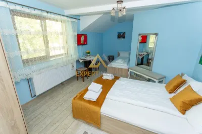 Pensiune Turistica, Locuinta si Anexa gospodareasca  la 5 minute de Baia Mare - foto 18