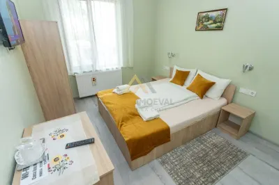 Pensiune Turistica, Locuinta si Anexa gospodareasca  la 5 minute de Baia Mare - foto 20