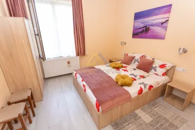 Pensiune Turistica, Locuinta si Anexa gospodareasca  la 5 minute de Baia Mare - foto 6