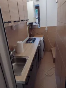Garsonieră de închiriat – Cuza Vodă | 5 min de UMF | Terasă privată 30 mp - foto 3