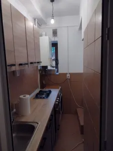Garsonieră de închiriat – Cuza Vodă | 5 min de UMF | Terasă privată 30 mp - foto 4