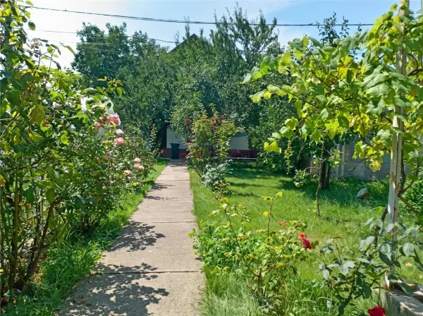 Casă 6 camere Suceava - poza 24