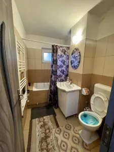 Complex Studentesc, 2 Camere, Centrala Proprie, Renovat - foto 5