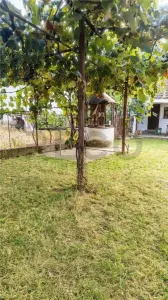 RECO Casa in Husasau de Tinca - foto 3