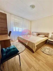 Apartament 2 camere Decomandat, Inel 2 - foto 5