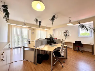 Spatiu pentru birouri in imobil tip Vila cu lift | Titulescu - Al. Ioan Cuza - foto 6
