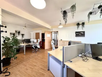 Spatiu pentru birouri in imobil tip Vila cu lift | Titulescu - Al. Ioan Cuza - foto 7